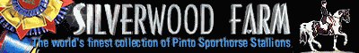99banner.gif (27499 bytes)