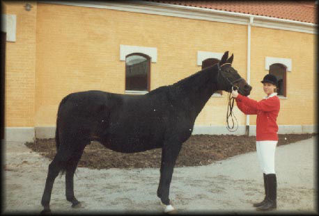 Josephine