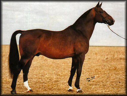 Napoleon